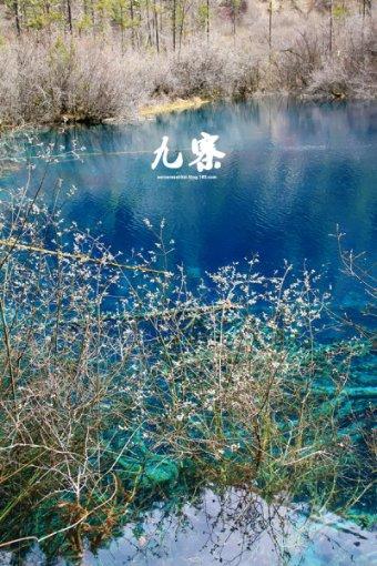 解答疑惑,尽在畜牧兽医类国家级期刊杂志投稿方式及地址?——高效实用的问答平台